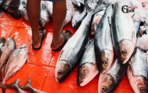 Fish Market Umm Al Quwain