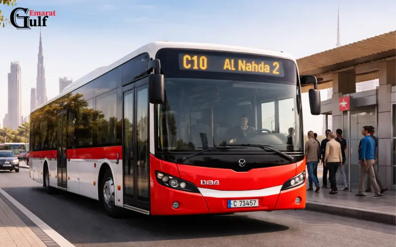 C10 Bus Timetable