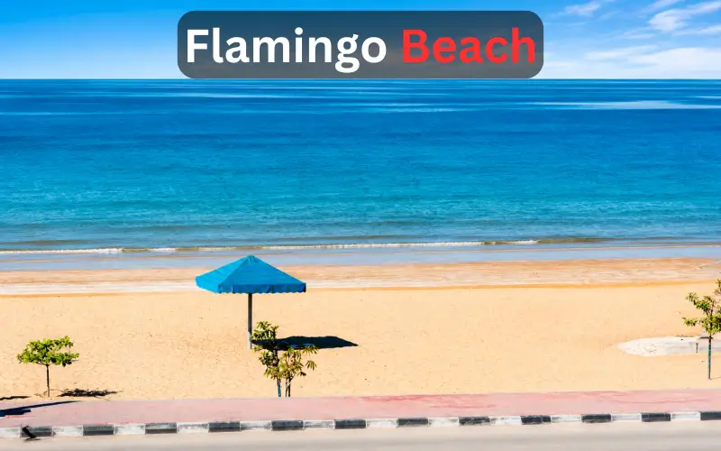 Flamingo Beach