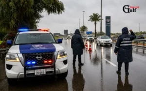 Security and Public Safety Support